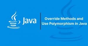Read more about the article Override Methods and Use Polymorphism in Java